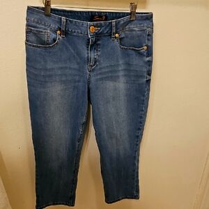 Seven 7 Jean CAPRI Pant